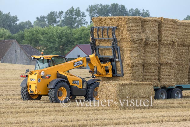 1194D398
