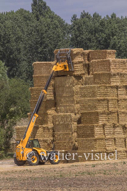 1258D699