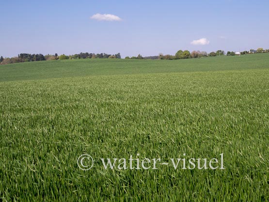 1231D018