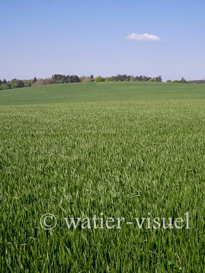 1231D020