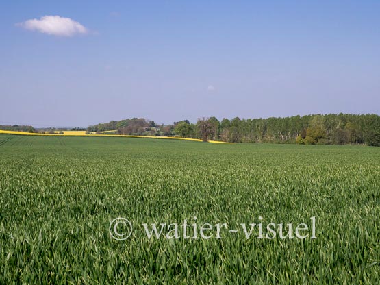 1231D030