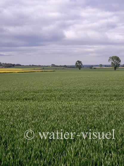 1231D037