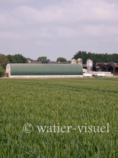 1231D047