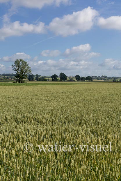1231D088