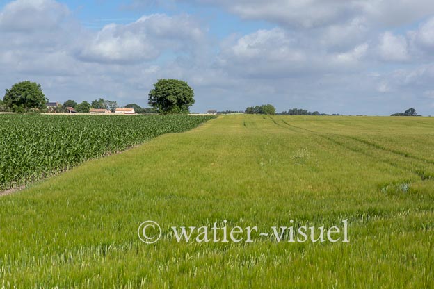 1231D090