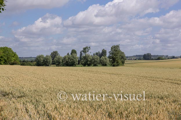 1231D095