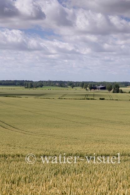 1231D114
