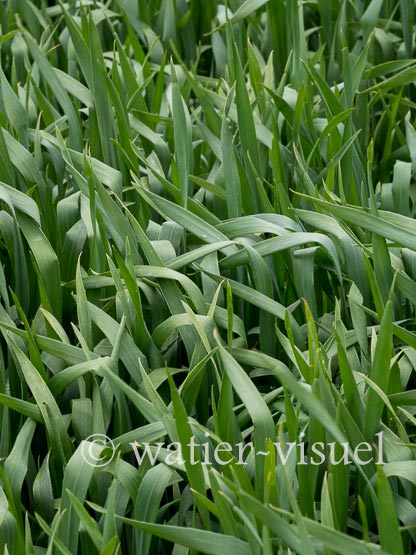 1184D084