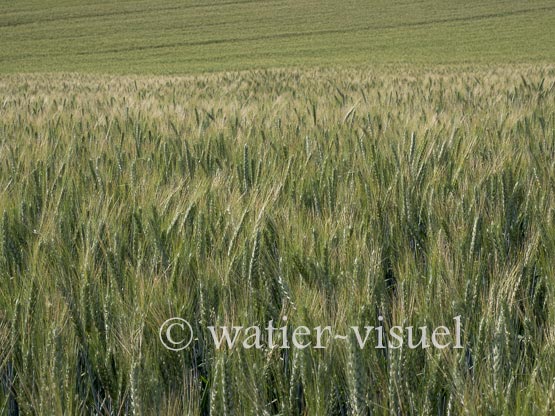 1238D740