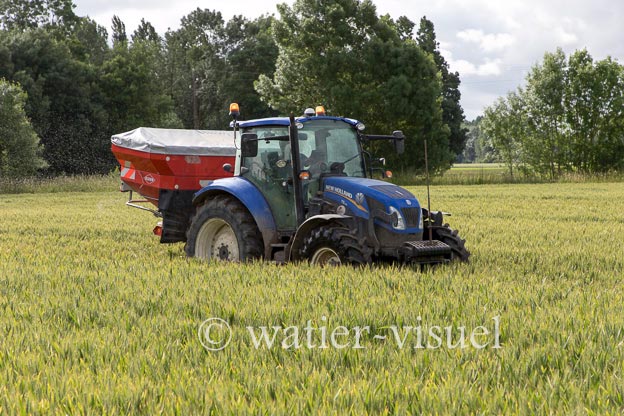 1250D288