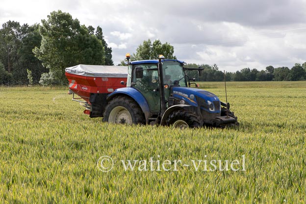 1250D289