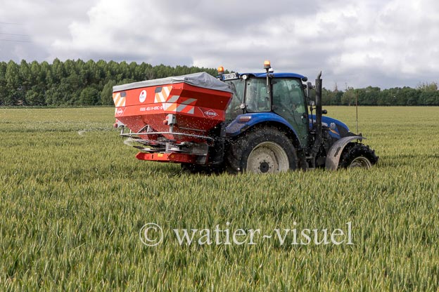 1250D291