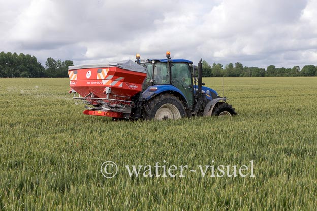 1250D295