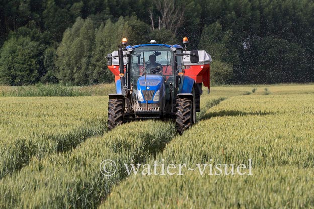 1250D297