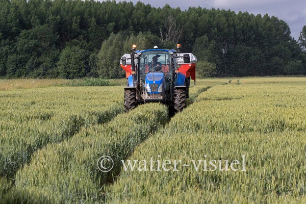 1250D298