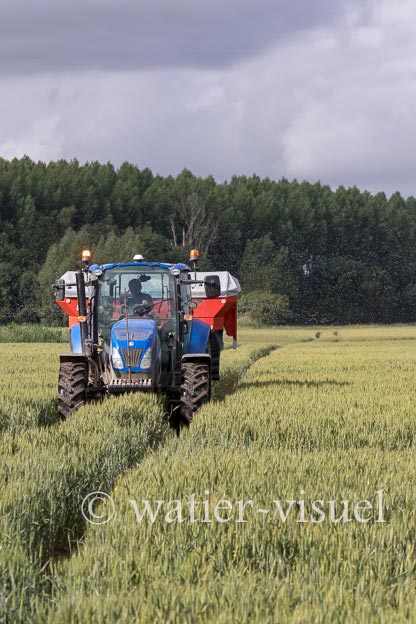 1250D299