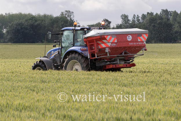 1250D306