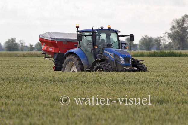 1250D311