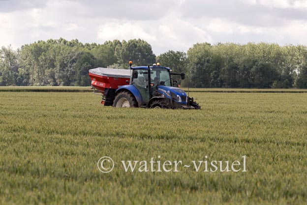 1250D312