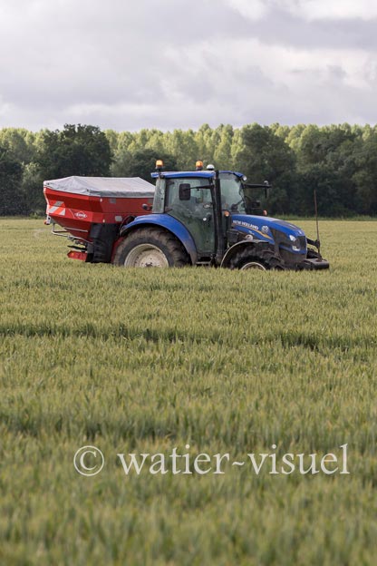 1250D314