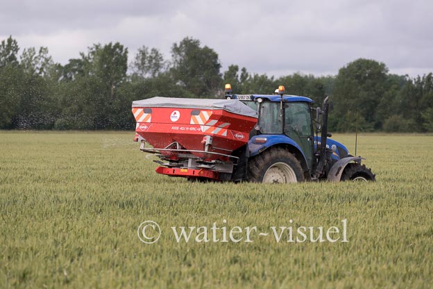 1250D317
