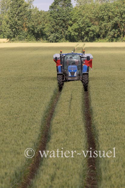 1250D319