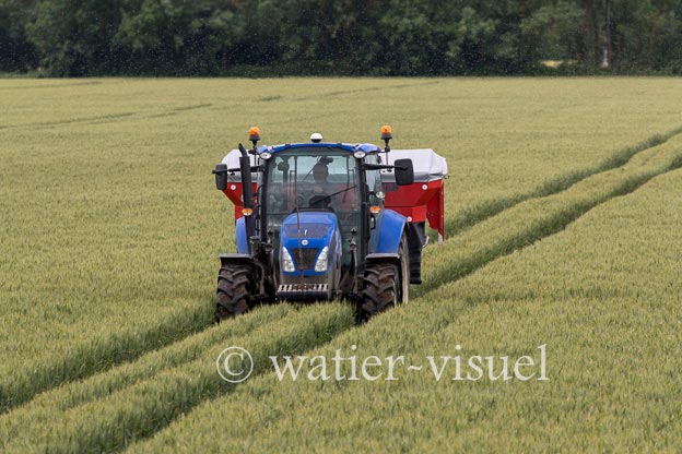1250D333