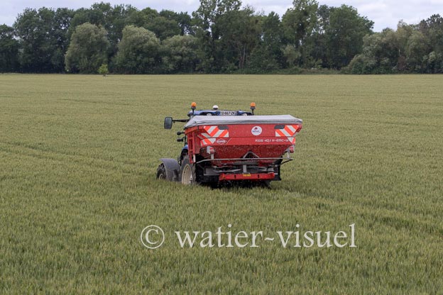 1250D339