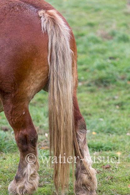 1168D484