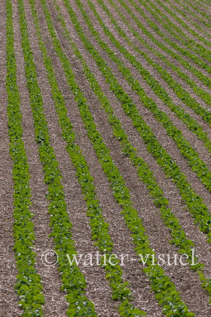 1207D614