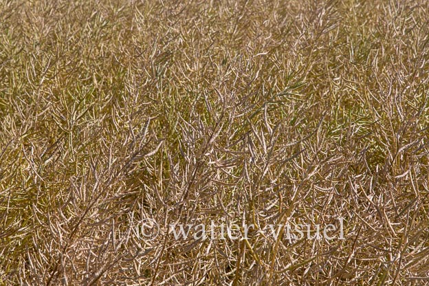 1240D073