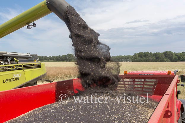 1191D486