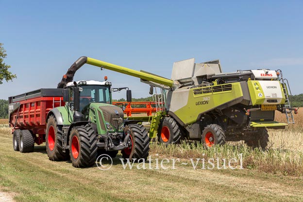 1191D517