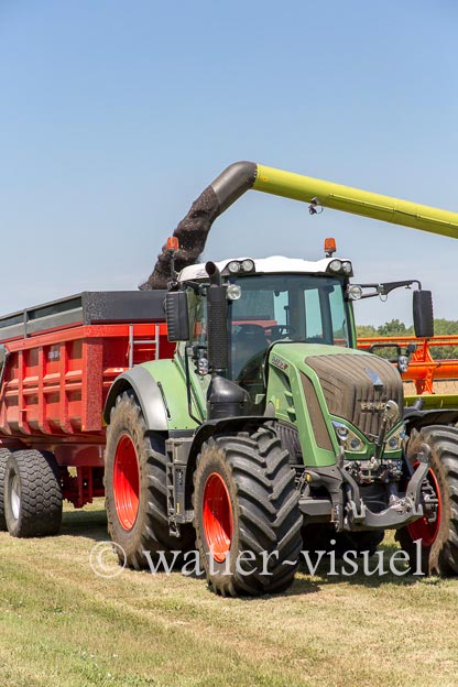 1191D519