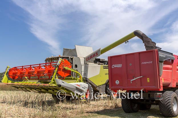 1191D522