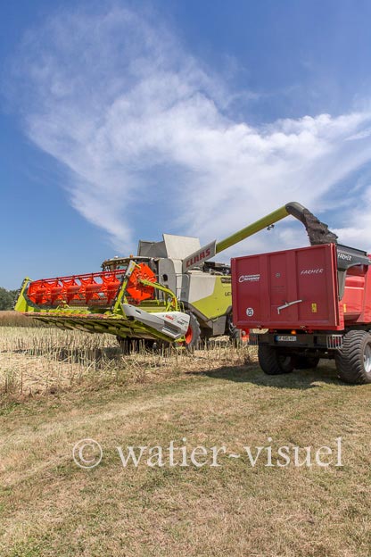 1191D523