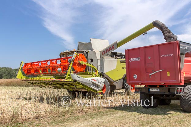 1191D524