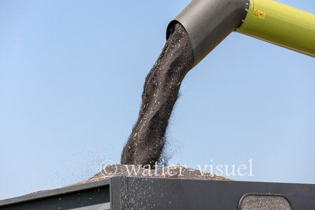 1191D531