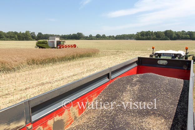 1191D544