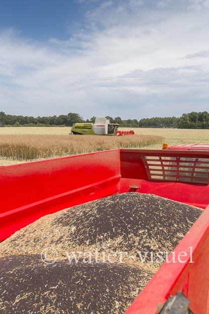 1191D550