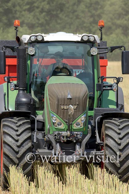 1191D559