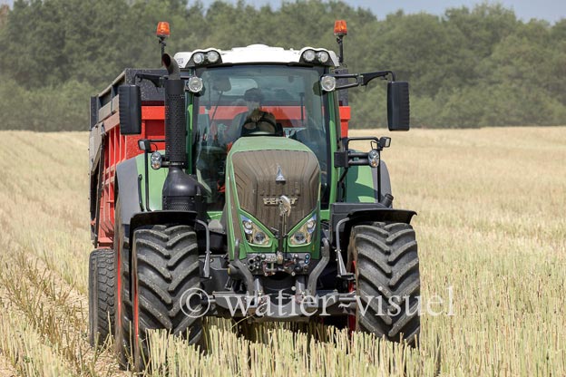 1191D560