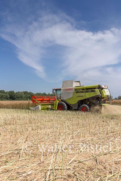 1191D565