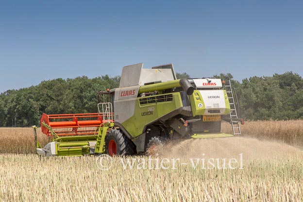 1191D570