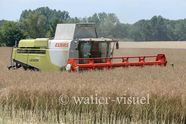 1191D590