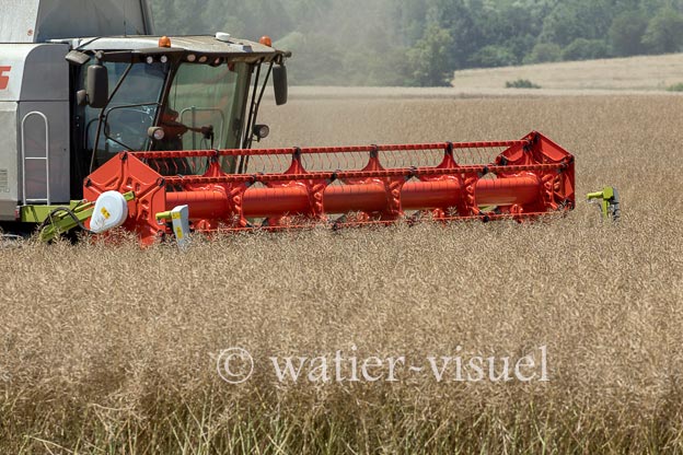 1191D593