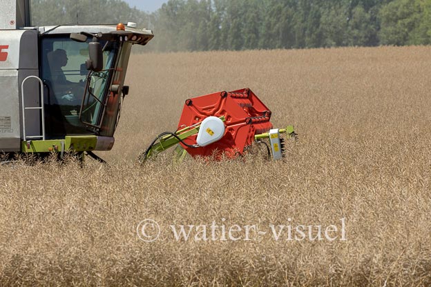 1191D599