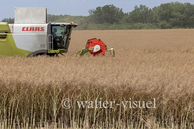 1191D600