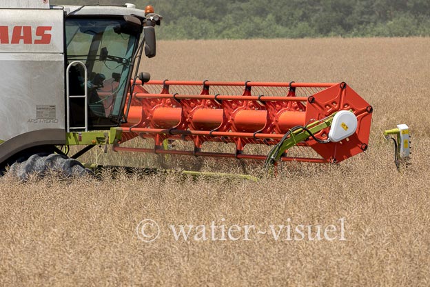 1191D603