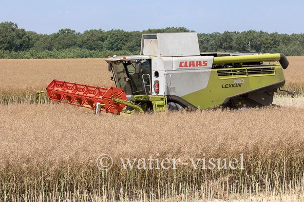 1191D610